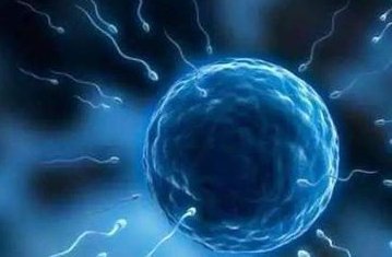 试管冻胚移植第五天心跳加速与心慌是否为正常现象？移植反应与心血管反应解读