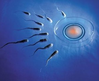 4aa试管着床后hcg数值低是不是异位妊娠？