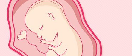 信宜做三代试管的医院哪个好？医院费用与成功率排名出炉