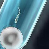 厦门174医院试管婴儿费用详解，全流程缴费明细供您参考