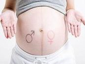 不造b超4个卵泡取了八个正不正常速览，怎么办一看便知