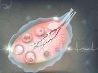 如今泰国哪些地方可以做三代试管婴儿的？