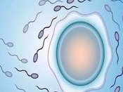 确诊为免疫性不孕能在江阴市做试管婴儿吗？做三代试管需要多少钱？